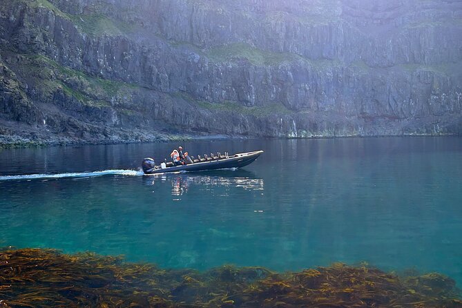1 Hour Iceland Nature and Wildlife RIB Small Group Guided Safari - Key Points Before You Go