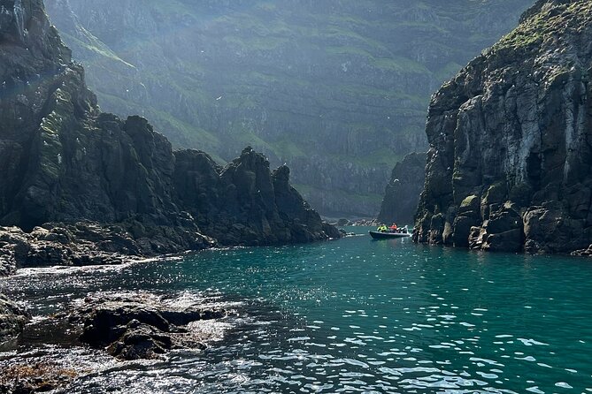 1 Hour Iceland Nature and Wildlife RIB Small Group Guided Safari - From Hafnarhólmi to the Cliff Line: What the Ride Feels Like