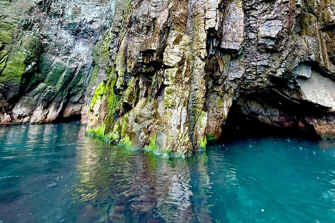 1 Hour Iceland Nature and Wildlife RIB Small Group Guided Safari - Beyond Birds: Seals, a Waterfall, and Possible Whale Time