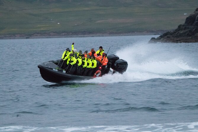 1 Hour Iceland Nature and Wildlife RIB Small Group Guided Safari - Small Group Energy: Hear the Guide and Get Better Views