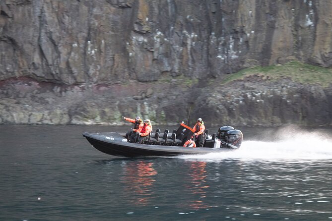 1 Hour Iceland Nature and Wildlife RIB Small Group Guided Safari - Price and Value: What $160 Buys You on the Water