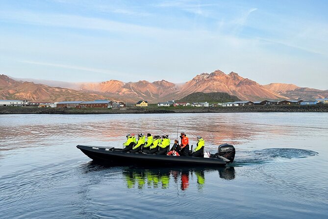 1 Hour Iceland Nature and Wildlife RIB Small Group Guided Safari - Weather, Waves, and Your Best Booking Move