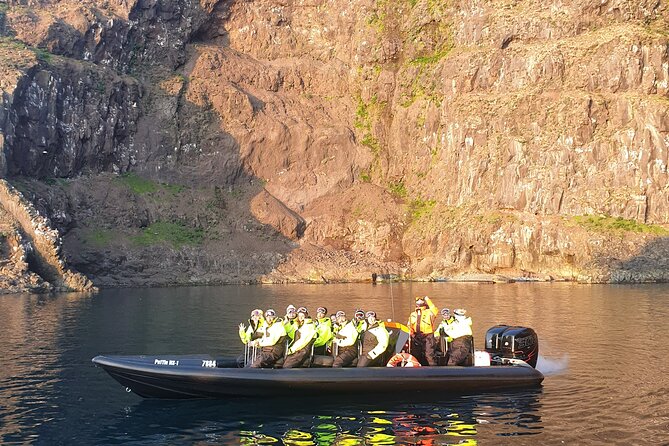 1 Hour Iceland Nature and Wildlife RIB Small Group Guided Safari - Puffins Up Close: How the Bird Watching Actually Works