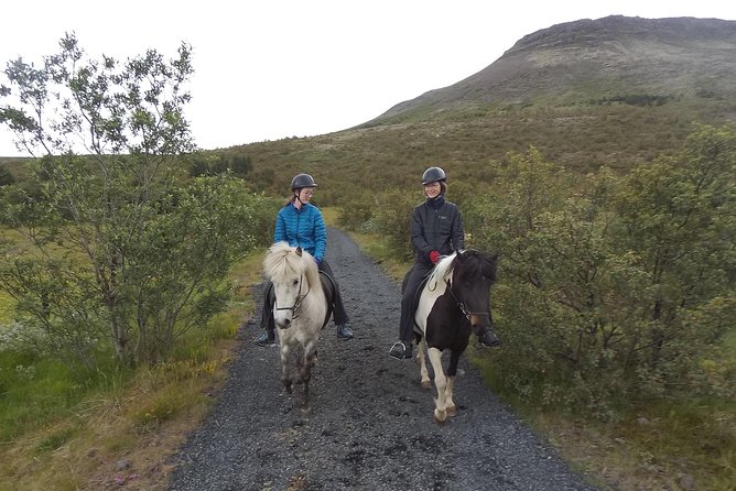 1+ hour Private Horse riding tour from Reykjavík/Mosfellsbær - Entering the stables at Mosfellsbær, Akrar 2