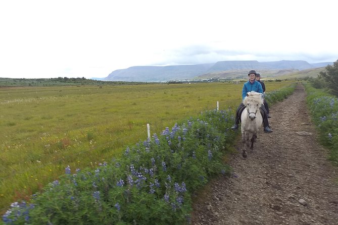 1+ hour Private Horse riding tour from Reykjavík/Mosfellsbær - The ride out around Mt. Úlfarsfell and the countryside
