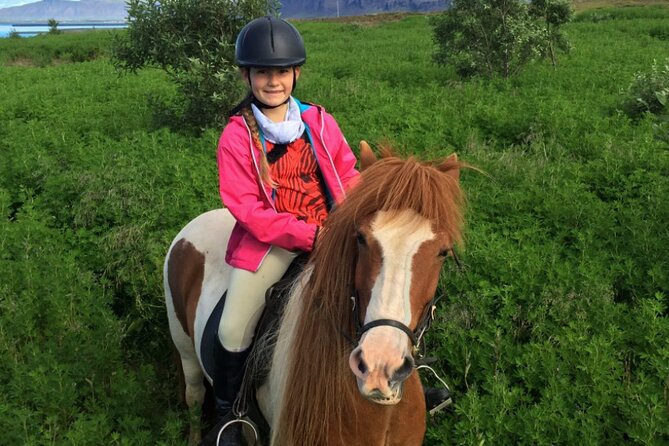 1+ hour Private Horse riding tour from Reykjavík/Mosfellsbær - Refreshments and the end of the ride feeling good