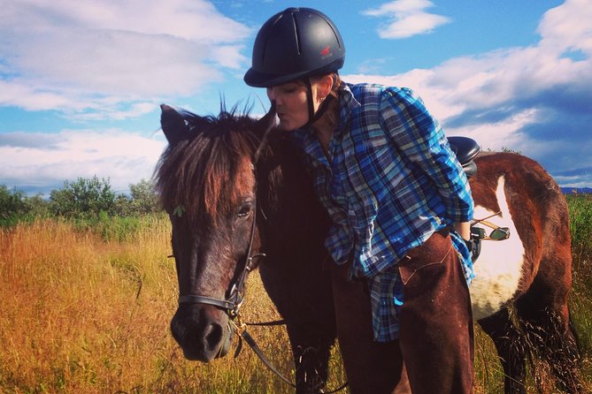 1+ hour Private Horse riding tour from Reykjavík/Mosfellsbær - Learning Icelandic riding the right way