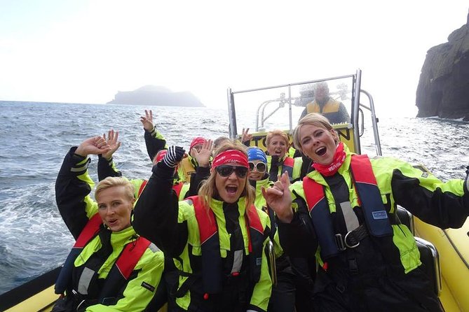 1-Hour Small Group Sightseeing Boat Tour in Vestmannaeyjar - Key Highlights You Can Plan Around