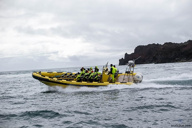 1-Hour Small Group Sightseeing Boat Tour in Vestmannaeyjar - Ride Comfort and Weather: How They Keep the Trip Fun and Safe