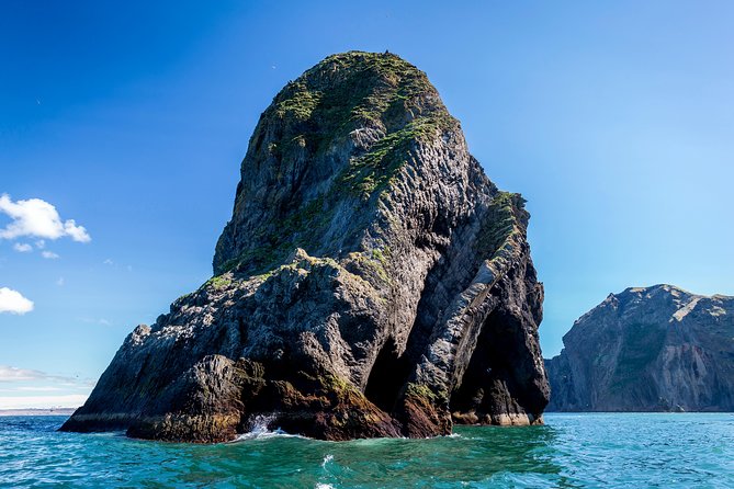 1-Hour Small Group Sightseeing Boat Tour in Vestmannaeyjar - Price and Value: Is $169.31 Worth It?
