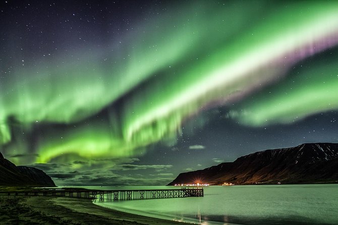 #1 Northern Lights Tour In Iceland from Reykjavik with PRO photos - Reykjavik pickup and a max-19 group, the combo that helps you actually see aurora