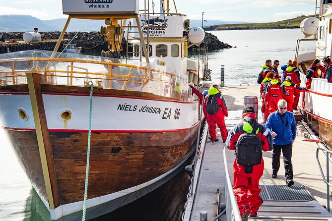 100% Whale Watching - Meeting at Hafnargata 2, 621 Hauganes: The Advantage of a Small Start