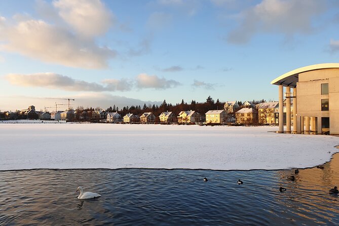 2-Hour Reykjavik Private Walking Tour - Hallgrímskirkja and the city view add-on