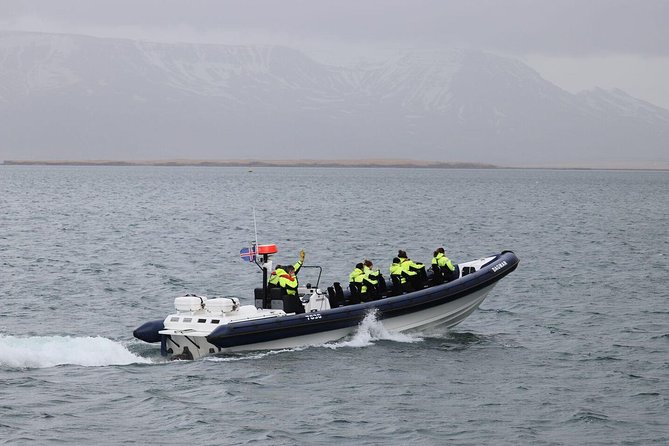 2-Hour RIB Boat Whale Watching Tour from Reykjavik - Key things that make this tour worth your time