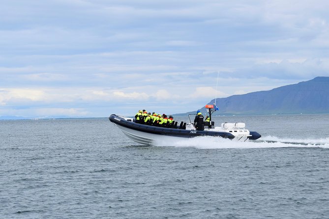2-Hour RIB Boat Whale Watching Tour from Reykjavik - Price and value: why $189.87 can make sense
