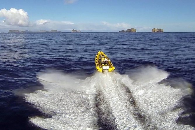 2 hour Round Trip in Vestmannaeyjar on a RIB Boat - Key things I’d pay attention to before you go