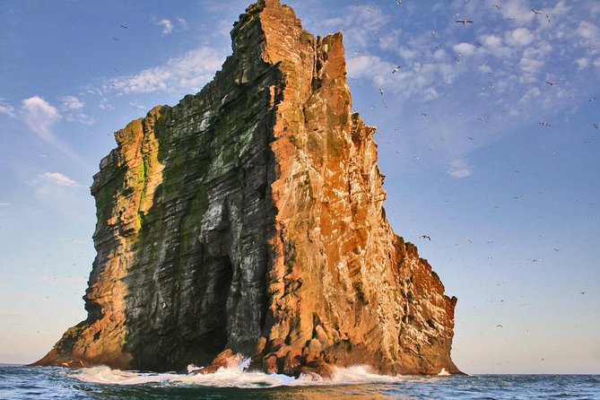 2 hour Round Trip in Vestmannaeyjar on a RIB Boat - A RIB boat is the right tool for Vestmannaeyjar