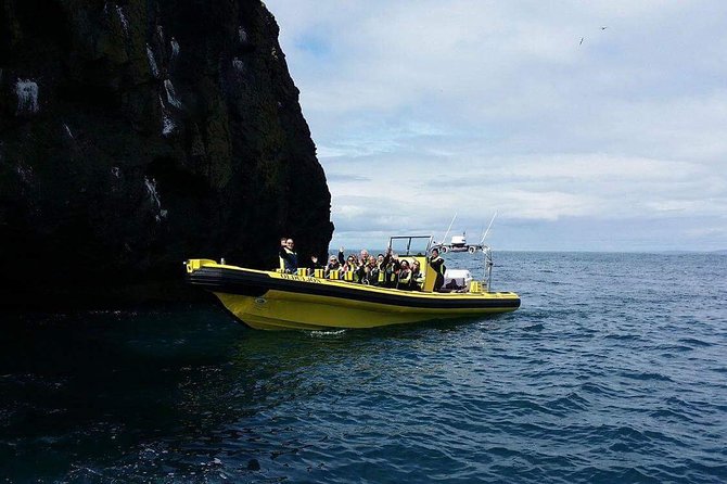 2 hour Round Trip in Vestmannaeyjar on a RIB Boat - Stop-by-stop: from quick check-in to caves, birds, and rock icons