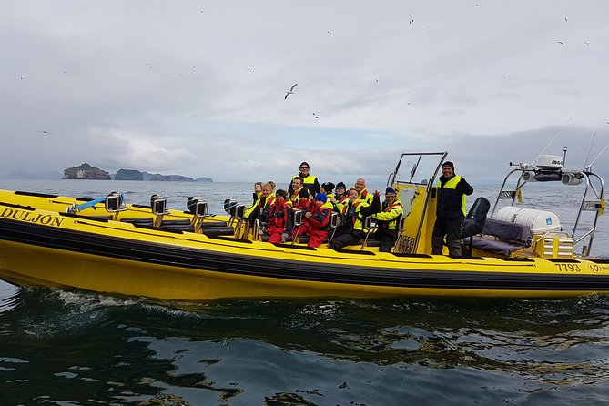 2 hour Round Trip in Vestmannaeyjar on a RIB Boat - Birds you can actually hunt for in the open air