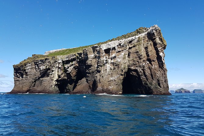 2 hour Round Trip in Vestmannaeyjar on a RIB Boat - Value check: is $247.39 for 2 hours worth it?