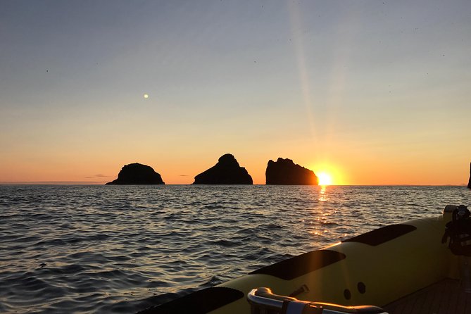 2 hour Round Trip in Vestmannaeyjar on a RIB Boat - Where you meet, and why 30 minutes early matters