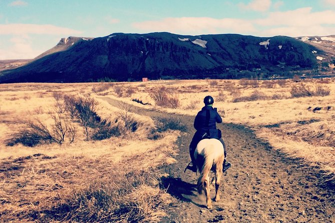 2 hours Private Horse Riding to Lake Hafravatn, Reykjavík - Mos - Key Things I’d Book This For