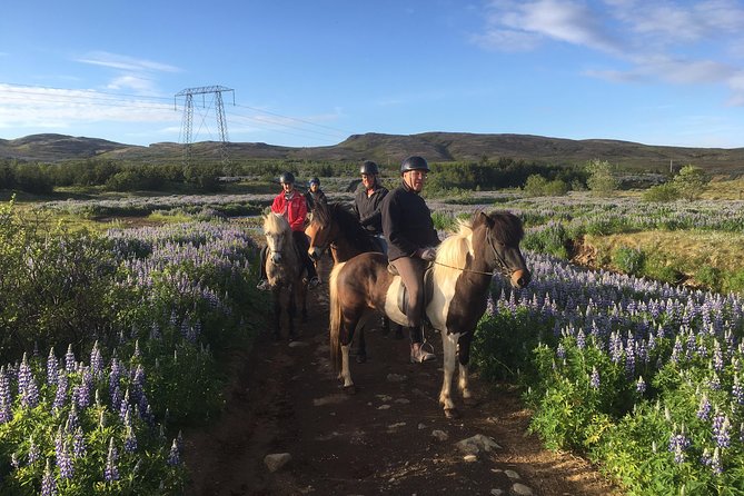 2 hours Private Horse Riding to Lake Hafravatn, Reykjavík - Mos - Where You Start: Akrar 1, Mosfellsbær, and the Farm Setup