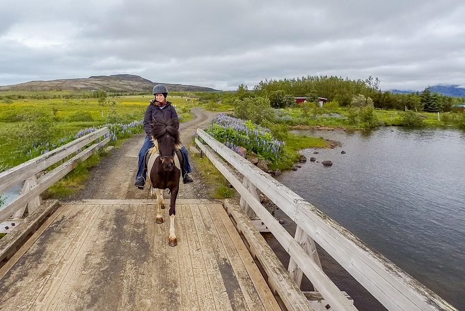 2 hours Private Horse Riding to Lake Hafravatn, Reykjavík - Mos - Getting There From Reykjavík: Bus 15 Makes It Less Stressful