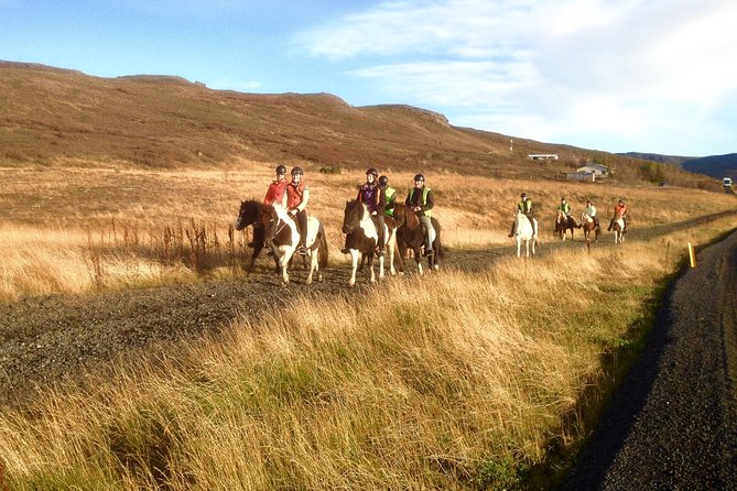 2 hours Private Horse Riding to Lake Hafravatn, Reykjavík - Mos - Value Check: Why This Private Tour Costs $210.26 Per Person