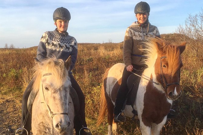 2 hours Private Horse Riding to Lake Hafravatn, Reykjavík - Mos - Beginners Welcome, but You Still Need to Be Ready to Ride