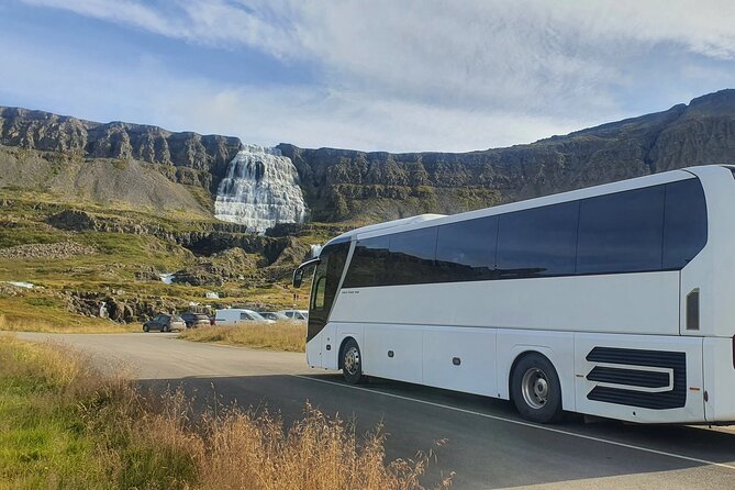 3,5-Hour Sightseeing Tour To Dynjandi Waterfall - Price and value: why $84.65 can make sense on a port day