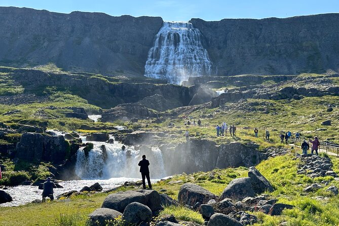 3,5-Hour Sightseeing Tour To Dynjandi Waterfall - Who should book this and who should think twice