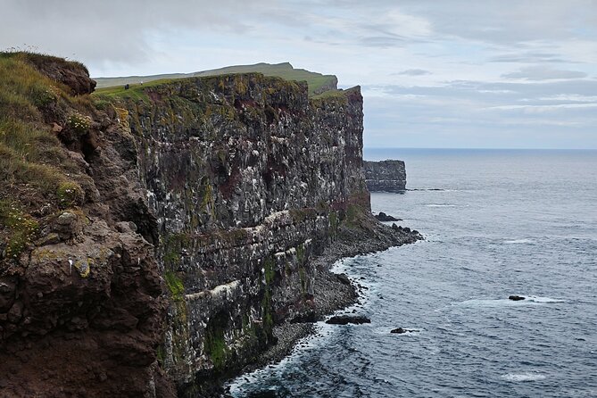 3-Day Wild and Wonderful Tour of Westfjords - Small Group Tour - Wildlife and storytelling: what to expect from the guide vibe