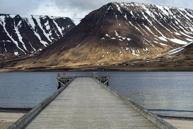 4 Hour Isafjordur and Dynjandi Tour With Photo Stops - Cruise Dock Pickup and the Small-Van Advantage