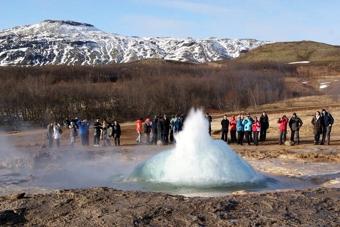 5-Days Land of Northern Lights Tour from Reykjavík - Day 2 on Reykjanes Peninsula: Lava Steam, Birds, and the American-Eurasian Bridge Moment