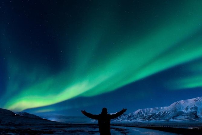 5-Days Land of Northern Lights Tour from Reykjavík - Day 4 Golden Circle Core: Fridheimar Horses, Geysir Eruptions, Gullfoss, and Þingvellir UNESCO