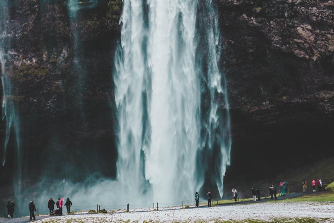 6-Day Minibus Tour Around Iceland from Reykjavik - Day 4 East Iceland and the East Fjords: Lagarfljót calm, reindeer possibilities, and optional horses