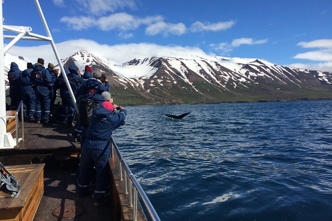 7-Day Complete Iceland: South Coast, Golden Circle, Akureyri & Snaefellsnes - East Fjords and the Egilsstaðir base: slower roads, small-town color