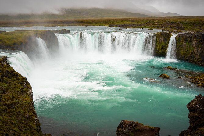 7-Day Small Group Journey Around Iceland - Day 4 Eastfjords to Höfn: less crowds, sharp cliffs, and reindeer roaming free