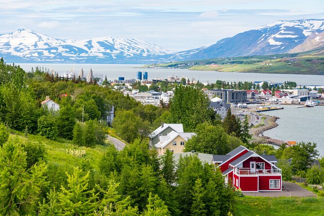 7-Day Small Group Journey Around Iceland - Day 5 South Coast icons: Jökulsárlón by amphibian boat plus black sand and big waterfalls
