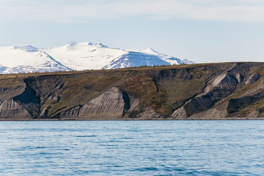 Akureyri: 3-Hour Classic Whale Watching Tour by Ship - Price and value: is $108 a fair spend in Akureyri?