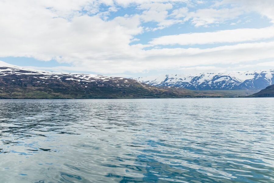Akureyri: 3-Hour Classic Whale Watching Tour by Ship - Getting the best views: where to stand, where to warm up