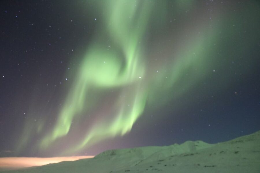 Akureyri: Hunt for the Northern Lights Photography Tour - What You Are Really Buying: a 2.5-Hour Aurora Search With Guidance