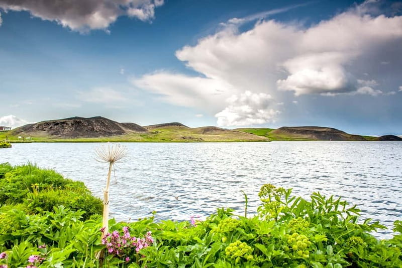 Akureyri Port: Lake Mývatn & Goðafoss Guided Tour with Lunch - Quick Hits: What Makes This Day Work