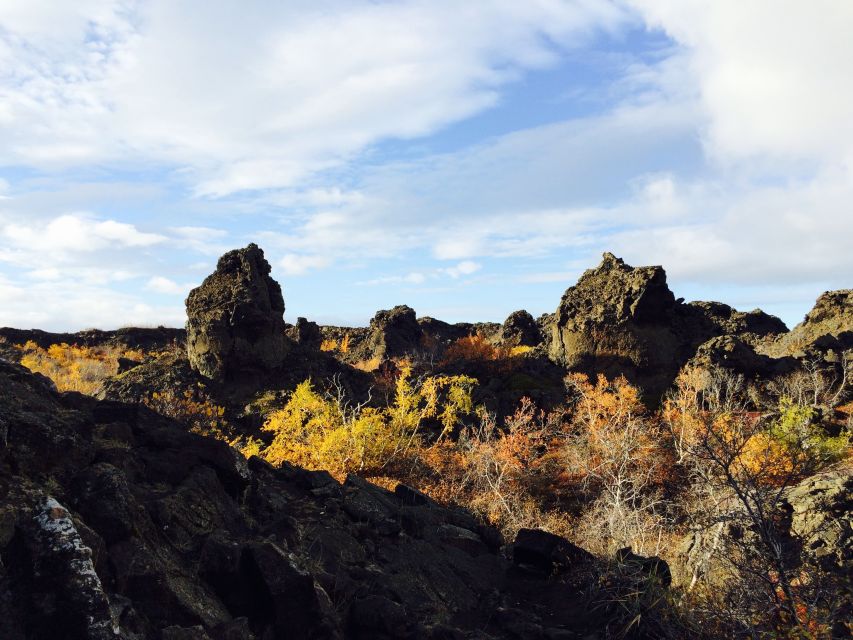 Akureyri Port: Lake Mývatn & Goðafoss Waterfall Day Trip - Hverir geothermal fields: mud pools, fumaroles, and a quick browsing break