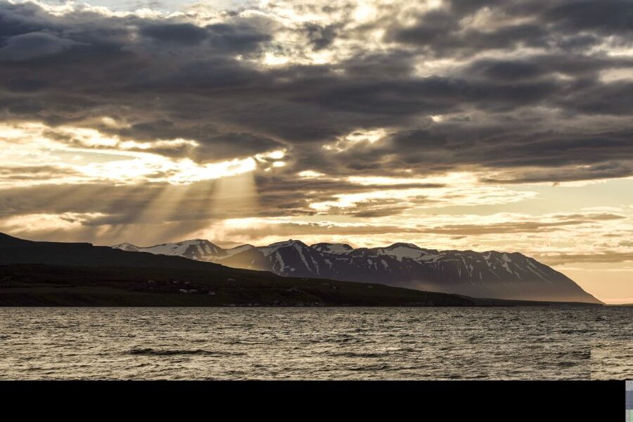 Akureyri: Whale Watching in the Midnight Sun - Price and Value: Is $101 Per Person Fair for This Kind of Trip?