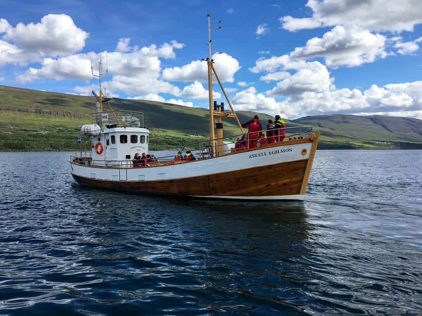 Akureyri: Whale Watching Tour with Transfer from Port - Port pickup, cozy bus ride, and Hauganes: how the day stays on track