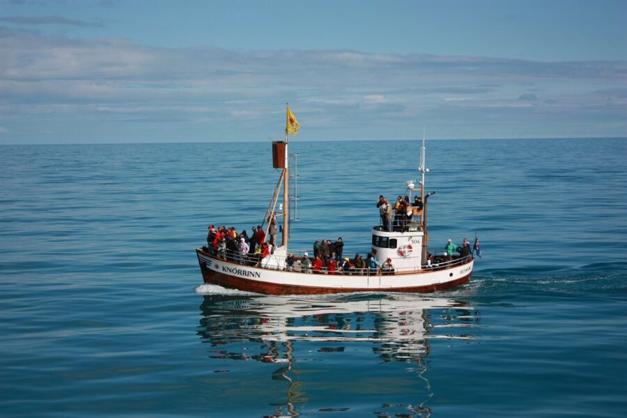 Árskógssandur: Whale-Watching Boat Trip - Wildlife sightings: what to realistically hope for