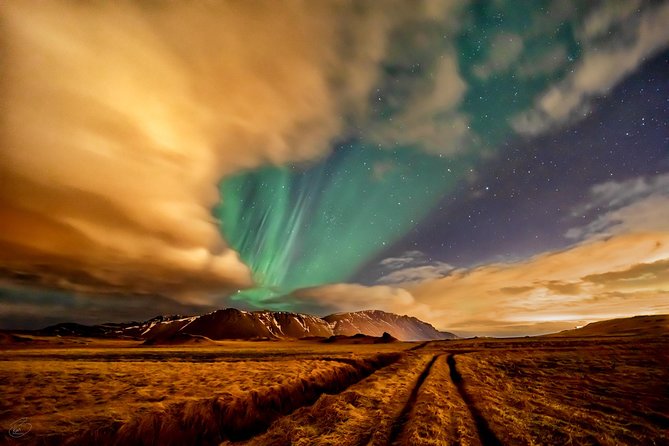 Aurora/Northern light hunt and photos (photography help provided) - Price and Value: Is $319 Per Person Reasonable?