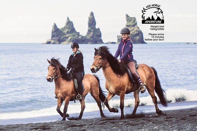 Black Sand Beach Horse Riding Tour from Vik - Meeting at Vik Horse Adventure, then heading straight to the beach